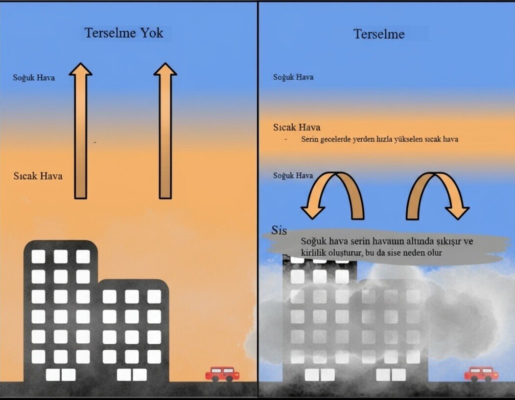 image_019a4b4b-0c86-7367-bbd8-f3cb476f1c9c_1