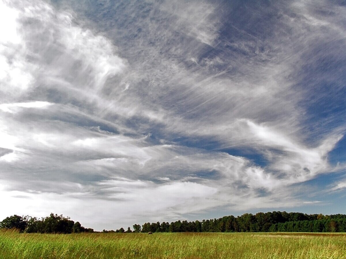 Cirrus cloud - Wikipedia