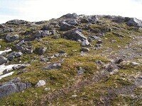 Tundra Soils | Soils 4 Teachers